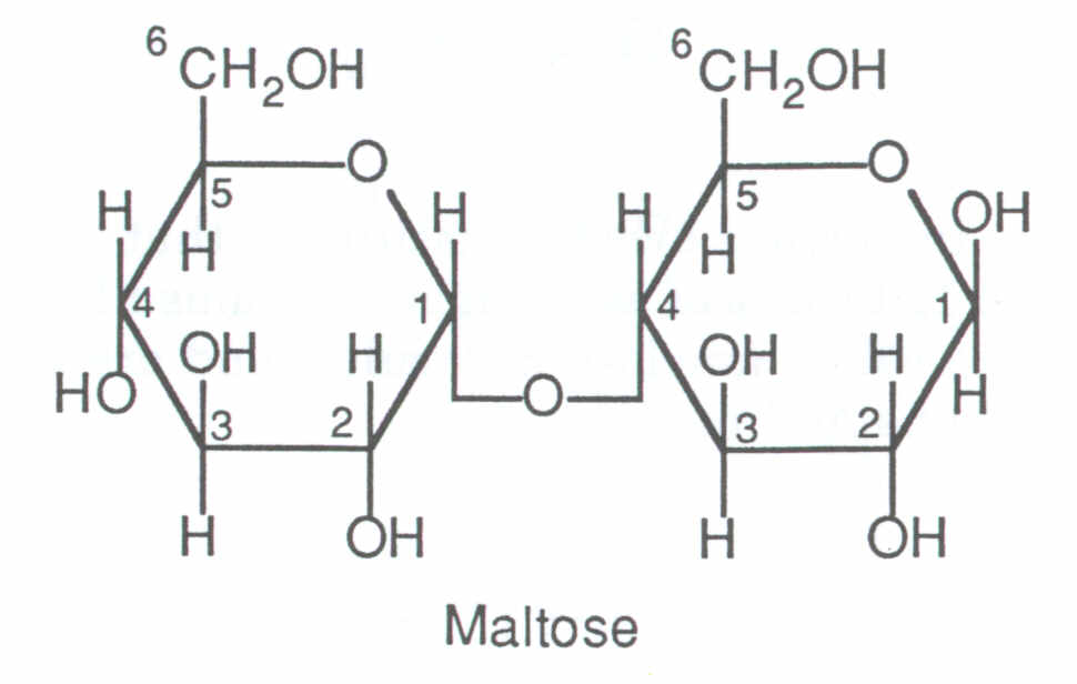 Image result for 1 4 alpha glycosidic bond